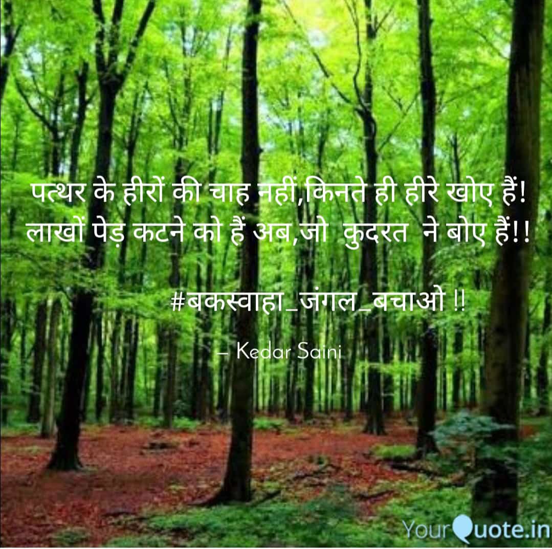 Ashuravtiya's tweet photo. #बकस्वाहा_जंगल आओ जंगल बचाएं, अपनी धरा को बचाएं..
आओ सब मिलकर बक्सवाहा को बचाएं..!

INDIA STAND WITH BUXWAHA

#SAVEBUXWAHAFOREST

@PMOIndia
@CMMadhyaPradesh  @ChouhanShivraj 
@CentralIfs 
@minforestmp 
@CentralIfs 
@minforestmp https://t.co/Bv7k52dqMj