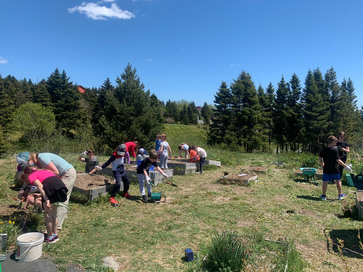 What a beautiful day out in the garden at St. Bernard’s with the grade 3s today!!🌱☀️ They were preparing the beds by getting rid of all the weeds - they’re almost ready for planting seeds! <a href="/NLESDCA/">NLESD</a>