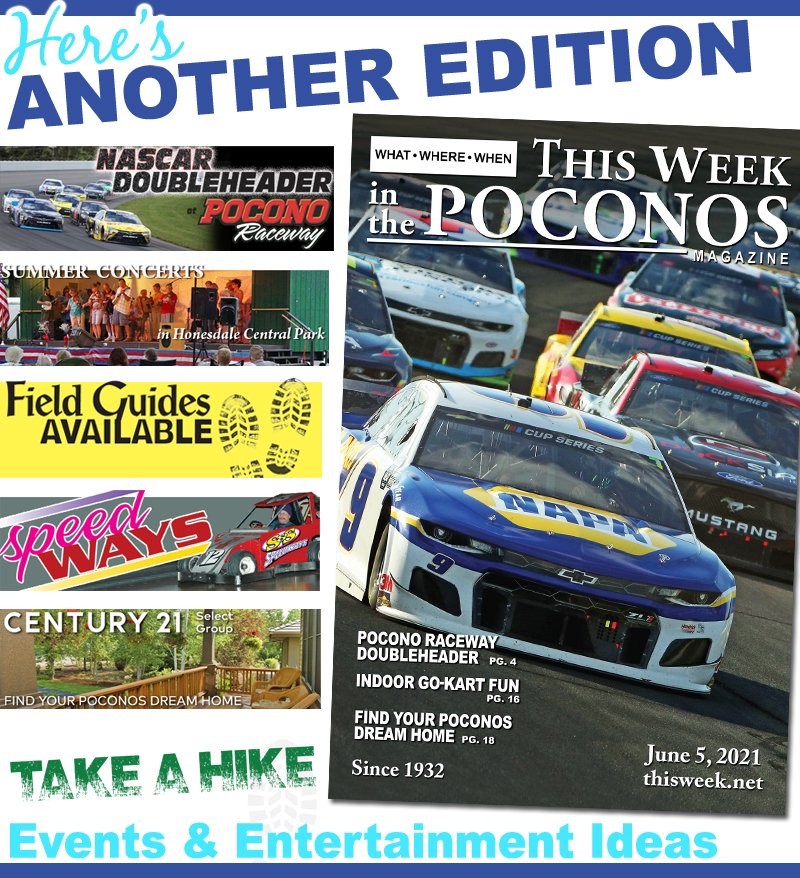 This Week Magazine tweet media