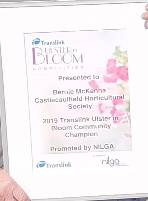CHS_Show's tweet photo. Due to Covid19, Translink Ulster in Bloom 2019 awards were presented today to Bernie McKenna, Ulster in Bloom 2019 Community Champion and to the Eco Buddies, UIB Youth Award at @dungannonarts by the Chair of @MidUlster_DC and representatives from @Translink_NI &amp; @NI_LGA https://t.co/dbSlSMvL1L