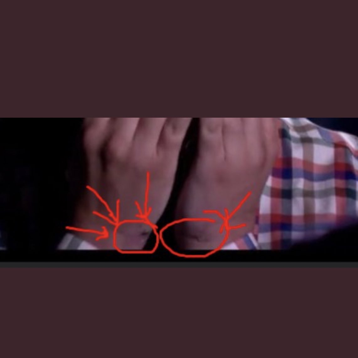 Marks on Protasevich’s wrists