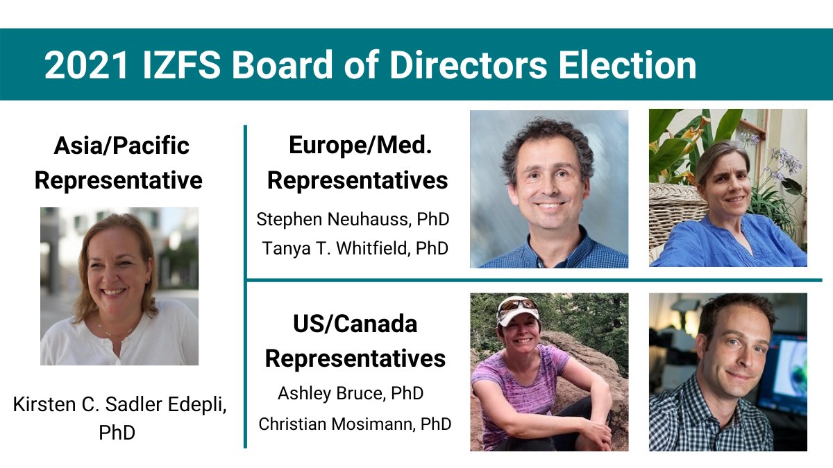 InfoIzfs's tweet image. THE RESULTS ARE IN! Congratulations to the newly elected IZFS Board Members: Drs. Whitlock (President-Elect), Kwan (Secretary), Sadler-Edepli (Asia/Pacific), Whitfield (Europe), Neuhauss (Europe), Bruce (US/Canada), &amp;amp; Mosimann (US/Canada).