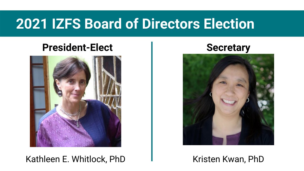 InfoIzfs's tweet image. THE RESULTS ARE IN! Congratulations to the newly elected IZFS Board Members: Drs. Whitlock (President-Elect), Kwan (Secretary), Sadler-Edepli (Asia/Pacific), Whitfield (Europe), Neuhauss (Europe), Bruce (US/Canada), &amp;amp; Mosimann (US/Canada).