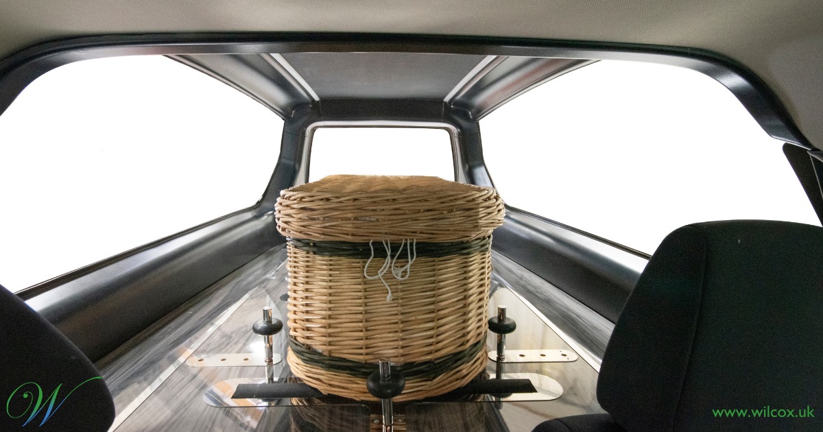 Wilcox Lims tweet media