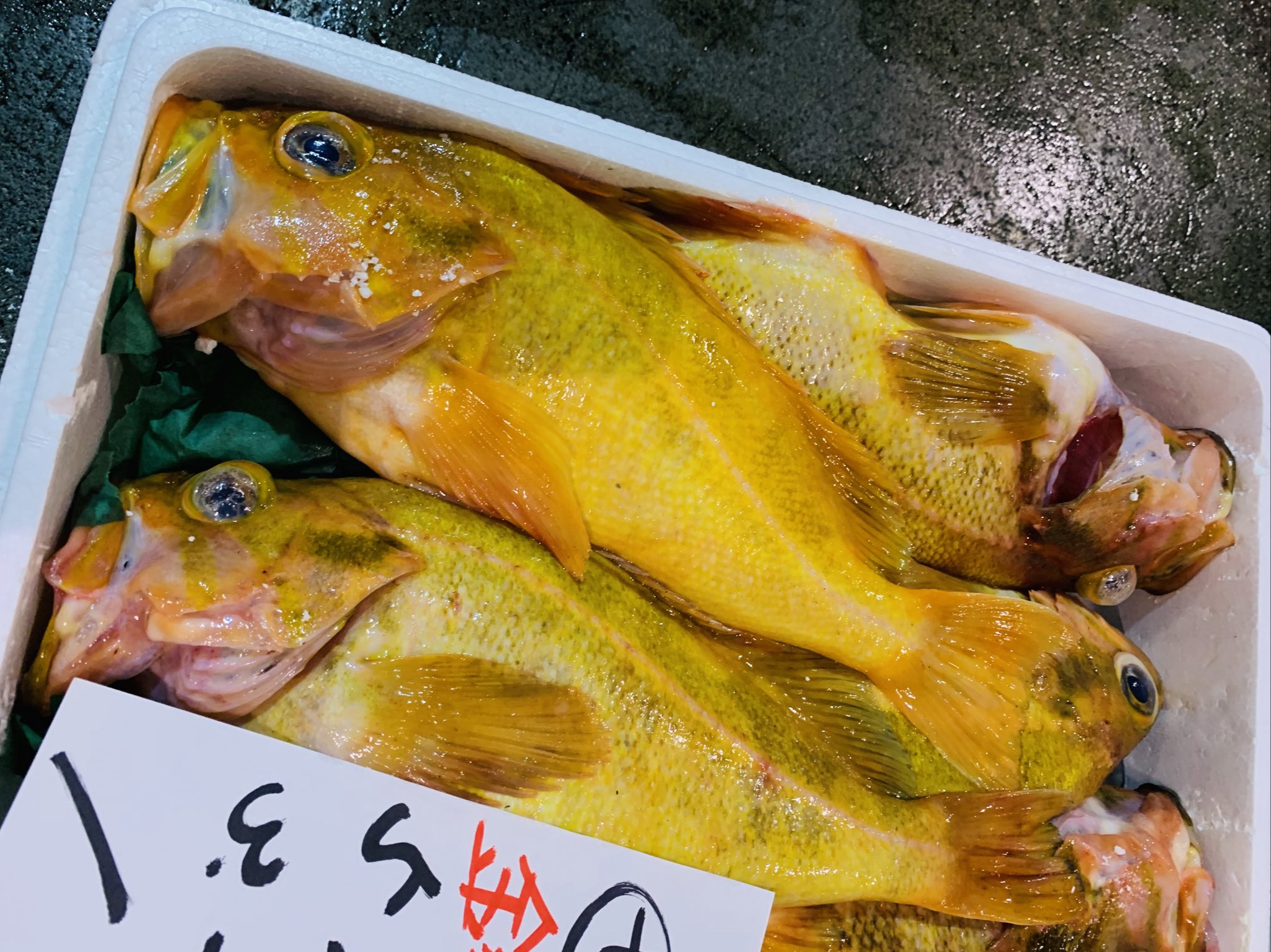 Aoike 青池水産株式会社 鮮やか 柳の舞とめんめ 今日の 柳の舞 は黄色の発色が強い めんめ きんき も鮮やかな赤 あと鮮やかな青の魚がいなかったので 青のぽっこりお腹を T Co T72wcoaxxh Twitter