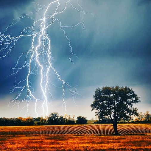 GChahuneau's tweet photo. À quelques secondes d'un orage !
Bonsoir 
Ce soir se sera juste une image de ce que j'adorerais voir en vrai. J'aime le grondement de l'orage, le bruit des gouttes d'eau qui s'écoule sur les toitures et voir un éclair pareil... ça doit être magique !
Bonne soirée 
#orage https://t.co/VfVtV5EJW5