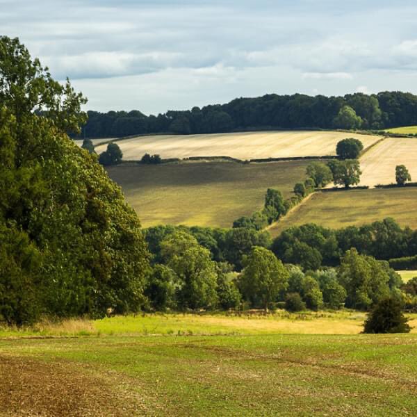 RogerParry&Partners tweet media