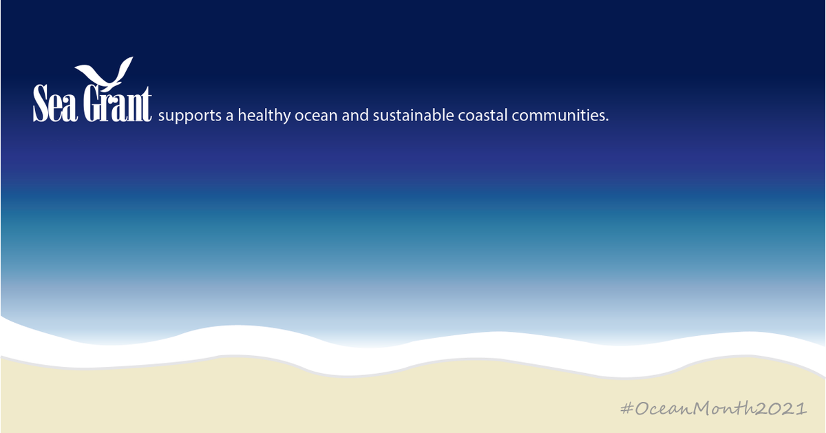 June is National #OceanMonth, and as part of <a href="/NOAA/">NOAA</a>’s #30DaysofOcean, we’re sharing how Sea Grant supports a healthy ocean and sustainable coastal communities. Look out for stories that encompass all of the ocean’s shades of blue for #OceanMonth2021! 🌊