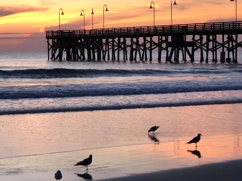 SMARTBuffetWare's tweet photo. Sunset Series from SBW – "It is better to fail in originality than to succeed in imitation." -Herman Melville
#smartbuffetware #sunset #alabama #gulfcoast https://t.co/3HW9M3dFLi