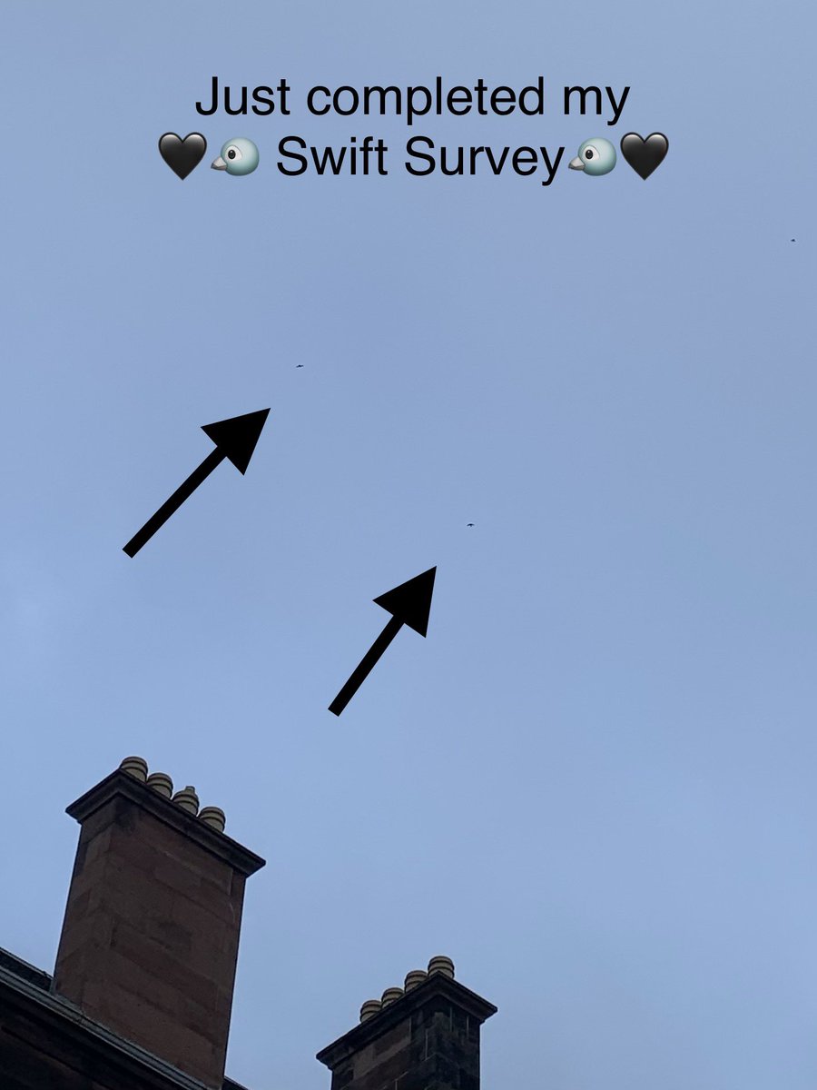 LesleyTotten's tweet image. I had a fantastic time doing my survey yesterday using #SwiftMapper and @urbannaturemap I got some strange looks which made it all the more fun 😅 and the Swifts were utterly joyous 😲☺️🐦🖤