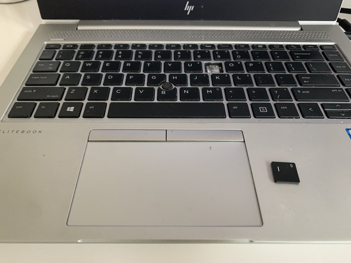 Noelle Engle-Hardy tweet media