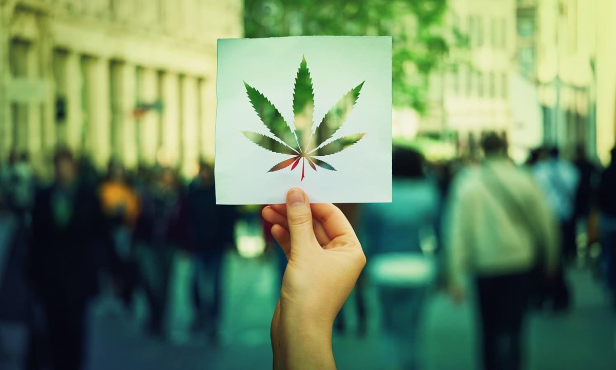 thetotalreport's tweet photo. Why Are So Many Municipalities Opting Out Of Their State’s Adult-Use Cannabis Marketplace?
#thetotalreport #totalreport #CANNABIS #ENVIRONMENT #CULTURE #JUSTICE #CORONAVIRUS https://t.co/cxSfynmGUi