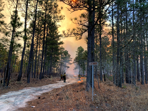 NIFC_Fire's tweet photo. @USFWSRefuges is looking to fill nine firefighter positions across the country. @USFWS firefighters utilize tools, equipment, & techniques on wildland & #rxfires, while supporting the conservation mission of the agency. Apply by 6/9 --> https://t.co/32olJoNx4x https://t.co/HGgOPlxFit