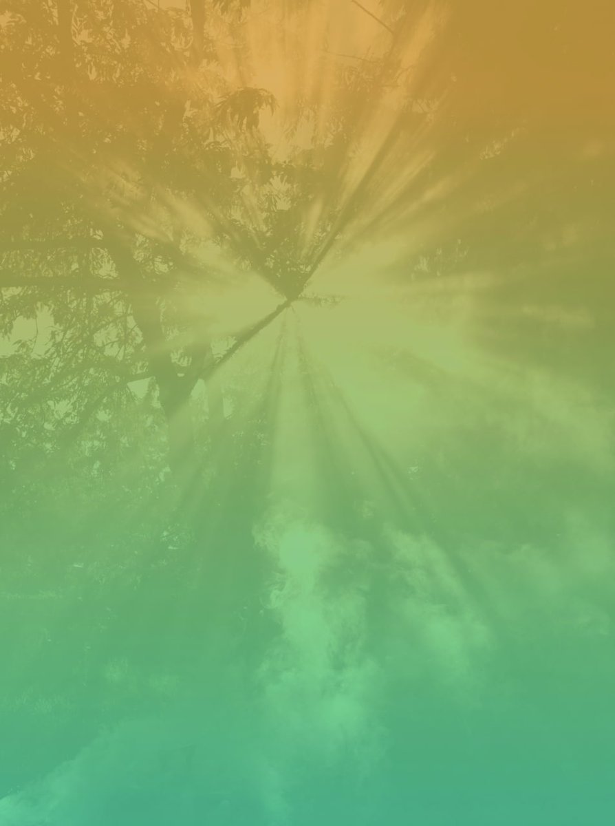 Andy Wickham tweet media