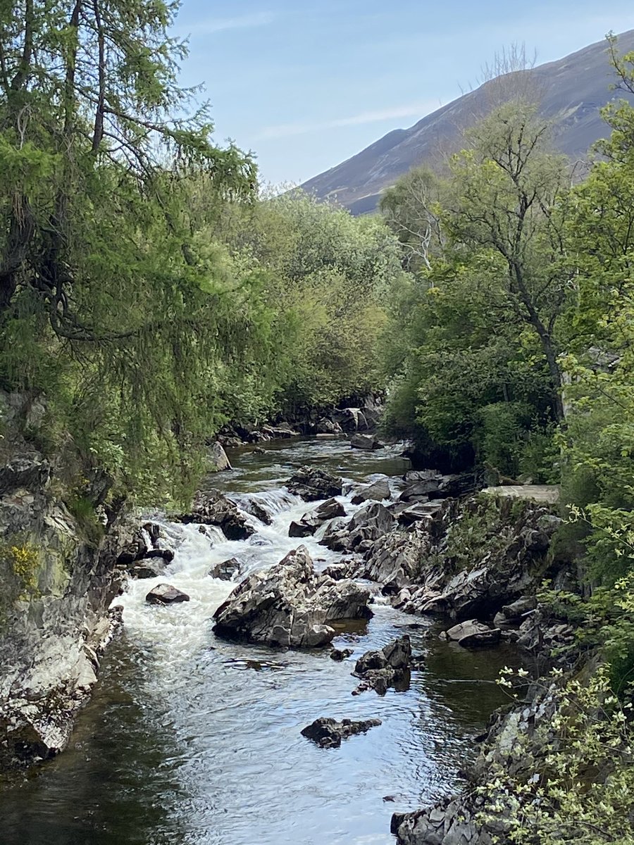 Beathhigh's tweet image. Good afternoon from the Scottish Highlands...