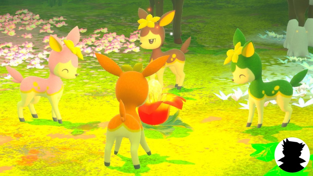 ポケモンスナップ 樹海のマップと出現ポケモン ポケスナ 攻略大百科