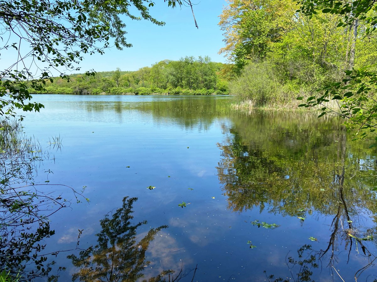 Vital Communities tweet media