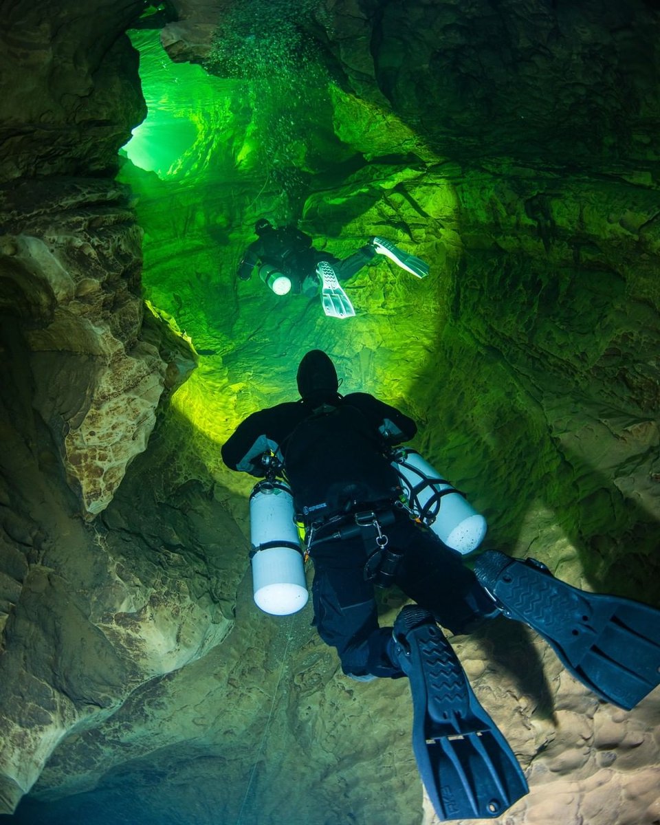 Diveasapp tweet media