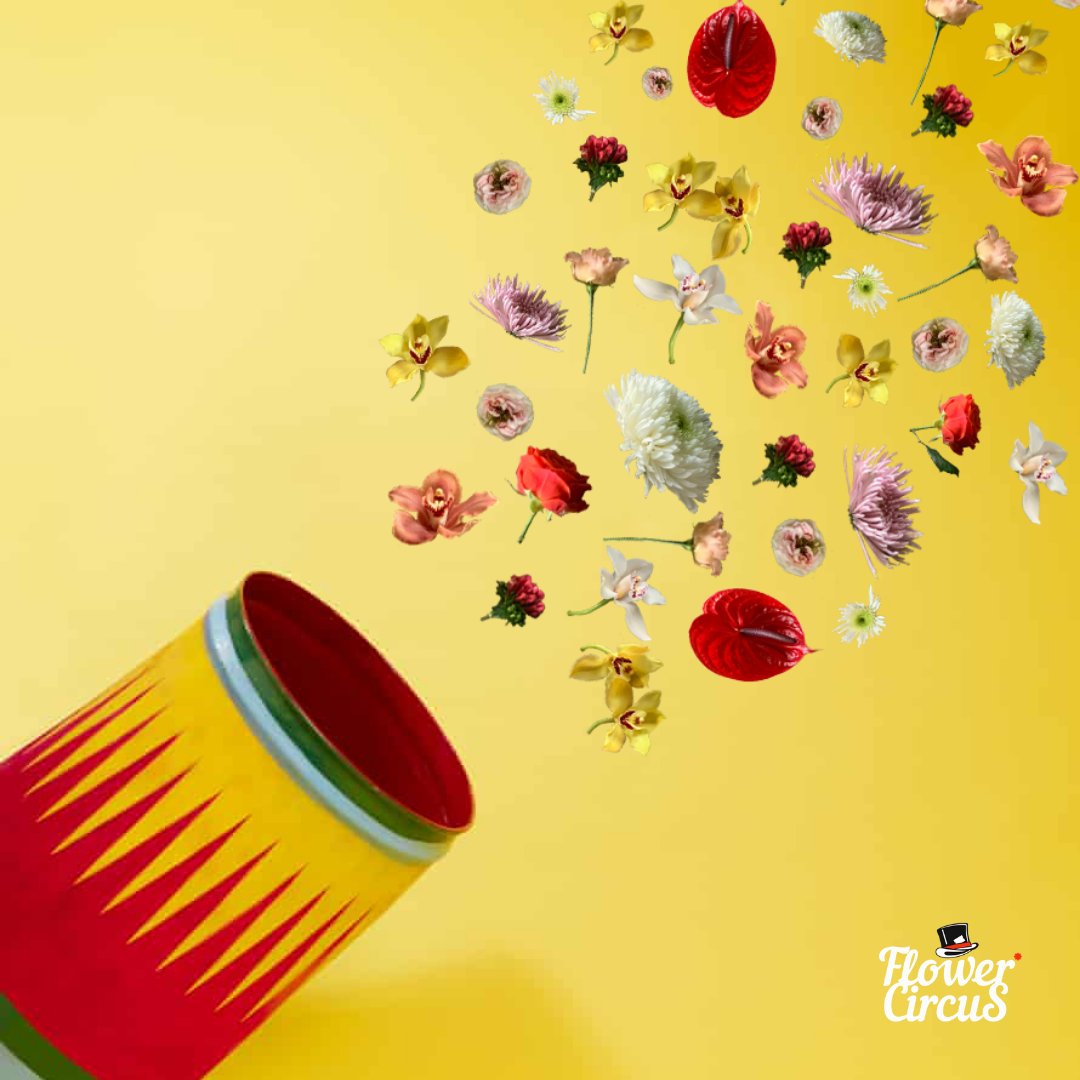 flowercircus_nl's tweet photo. Boom!💥 Flower Circus is all about floral fun, joy, ideas, and inspiration!

Mother Nature has the best box of crayons and we know how to create the brightest patterns and pictures.🥰

#FlowerCircus #floristry #flowershow #flowerdesign #floraldesign #florist #flowerarrangement https://t.co/8xB0J0VQ6n