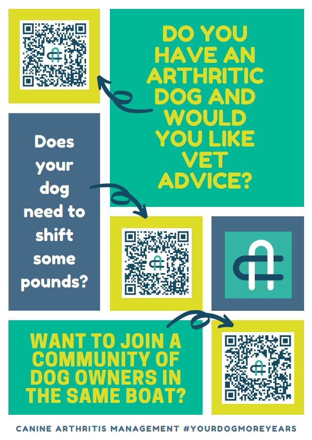 Here are some excellent resources from the wonderful people at CAM, Canine Arthritis Management, to help you with all things for an arthritic dog. There's much more to it than joint supplements and medication! 
buff.ly/2VMoJg8