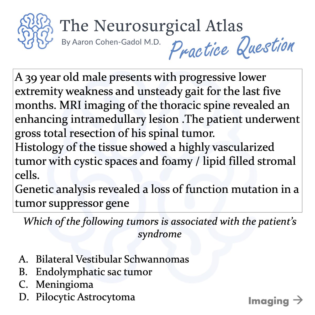 Neurosurgical Atlas tweet media