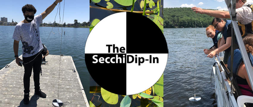SecchiDipIn's tweet photo. The #SecchiDipIn is a demonstration of the potential of volunteer monitors to gather important info on lakes, rivers, &amp; estuaries. Although the Dip-In is held in July during #LakesAppreciation Month, participants are welcome to submit data year-round! https://t.co/4N9c2hu6i8 https://t.co/yvvPKrwM99