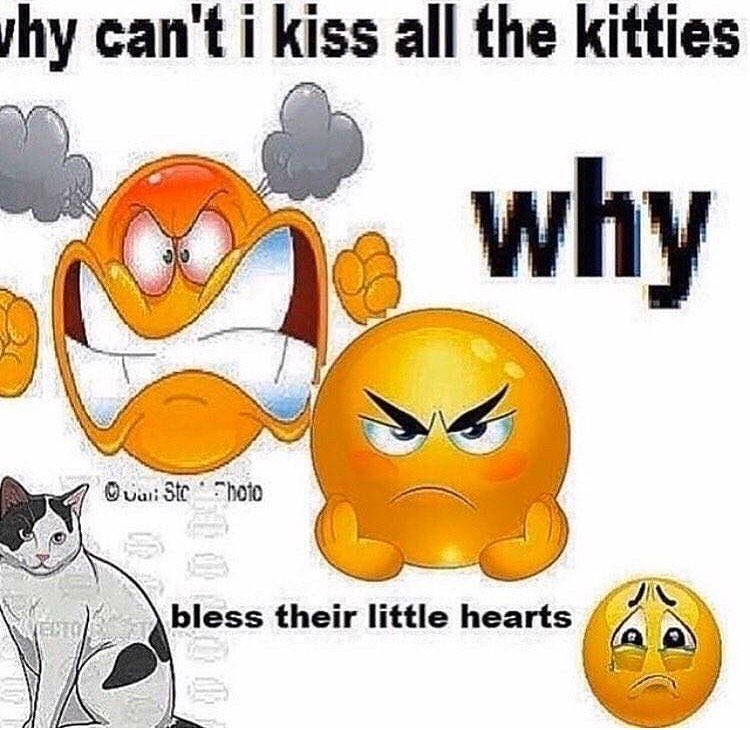 𝙎𝙈𝘼𝙍𝙏𝙔 𝙋𝘼𝙉𝙏𝙎 ! ´ˎ˗ (@worthapreorder) on Twitter photo 