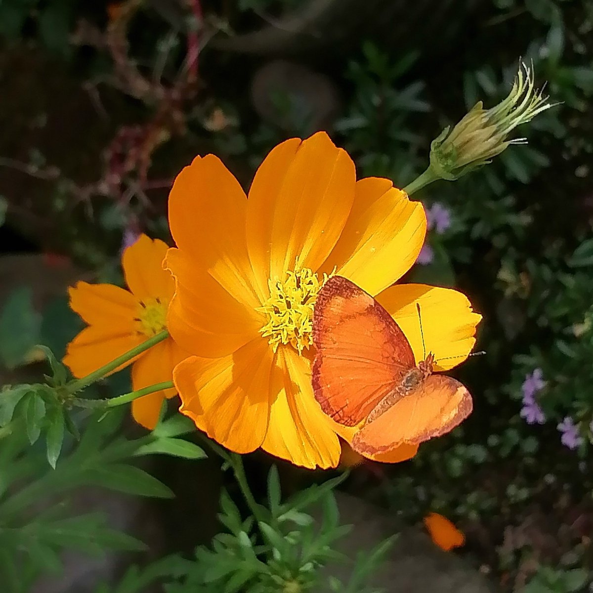 Wiyear17Yepes's tweet photo. @__Magic_Love #MuchasGracias.
#BuenTiempoParaTi
#Tambien 🌈🌼. https://t.co/dylewEvkpn