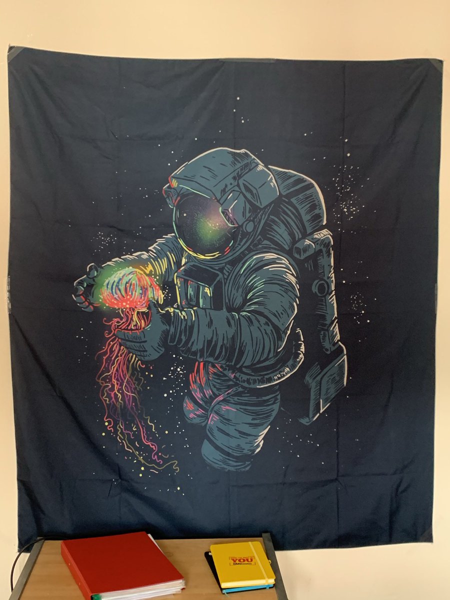 Alex Scarbro tweet media