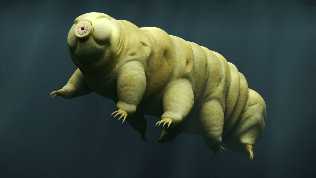 It takes a lot to smush a tardigrade. sciencenews.org/article/tardig…