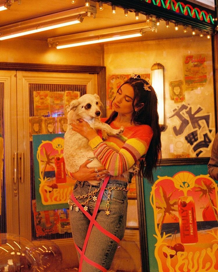 lipan (@dualllipaa) on Twitter photo 