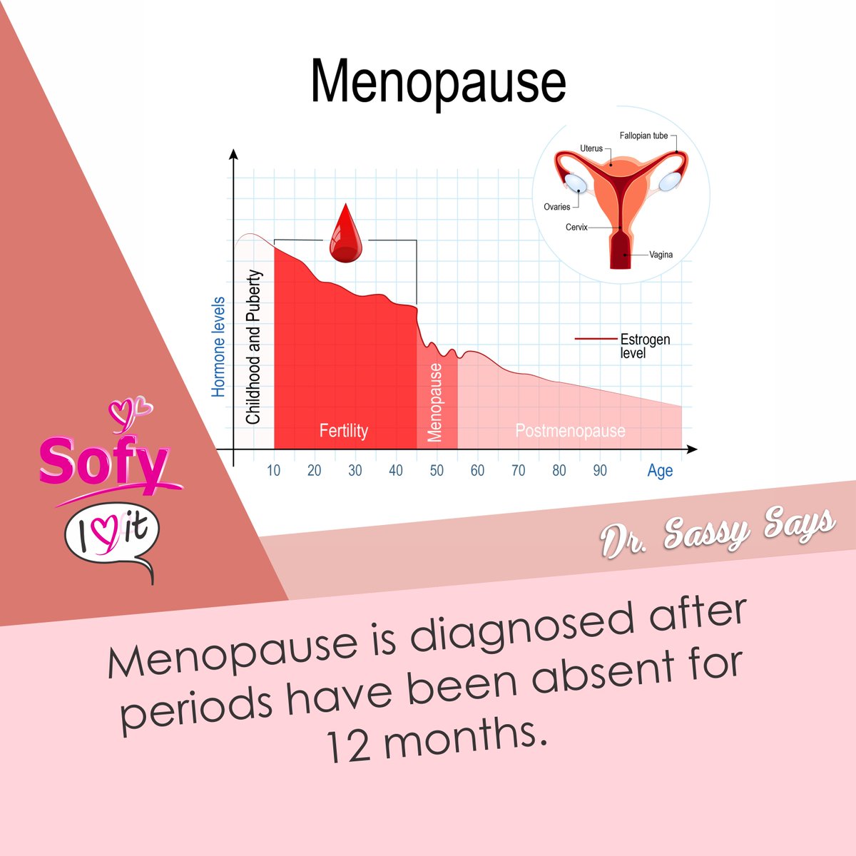 sofynig's tweet image. Menopause is defined as the end of menses