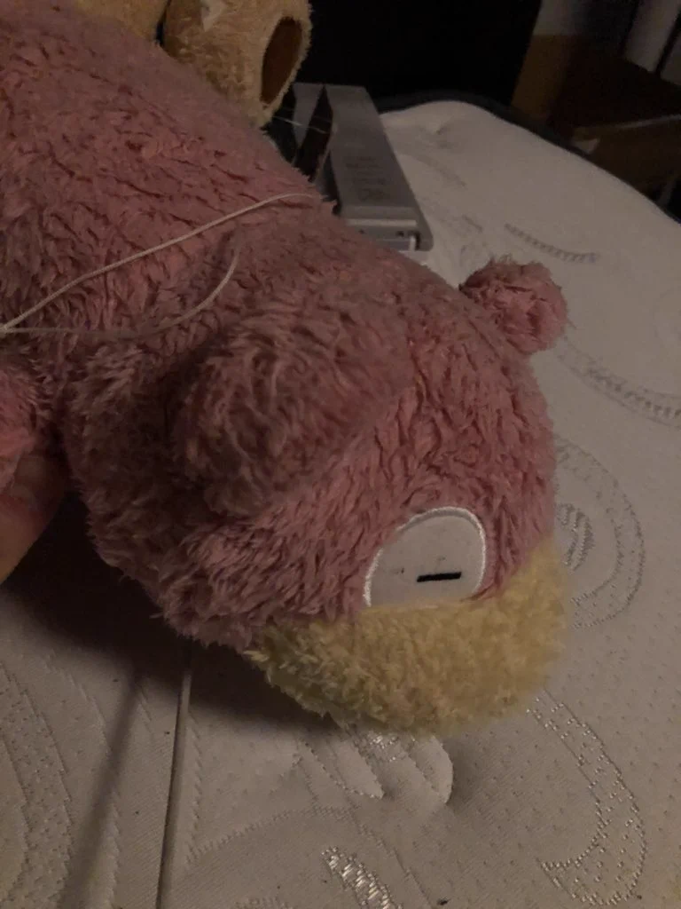 @Pokemon_cojp @kio382 我が家のヤドン 