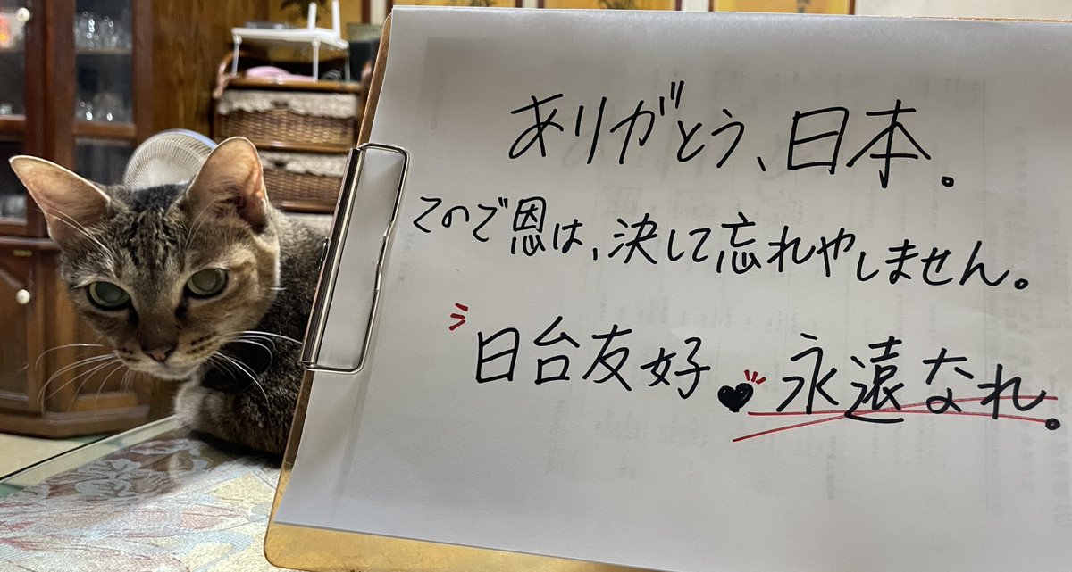 Techneikuo's tweet image. #謝謝日本
#ありがとう日本
#日台友好_永遠なれ