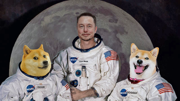 We received this from a fan and wanted to share. $Doge $Elon $DogeGF