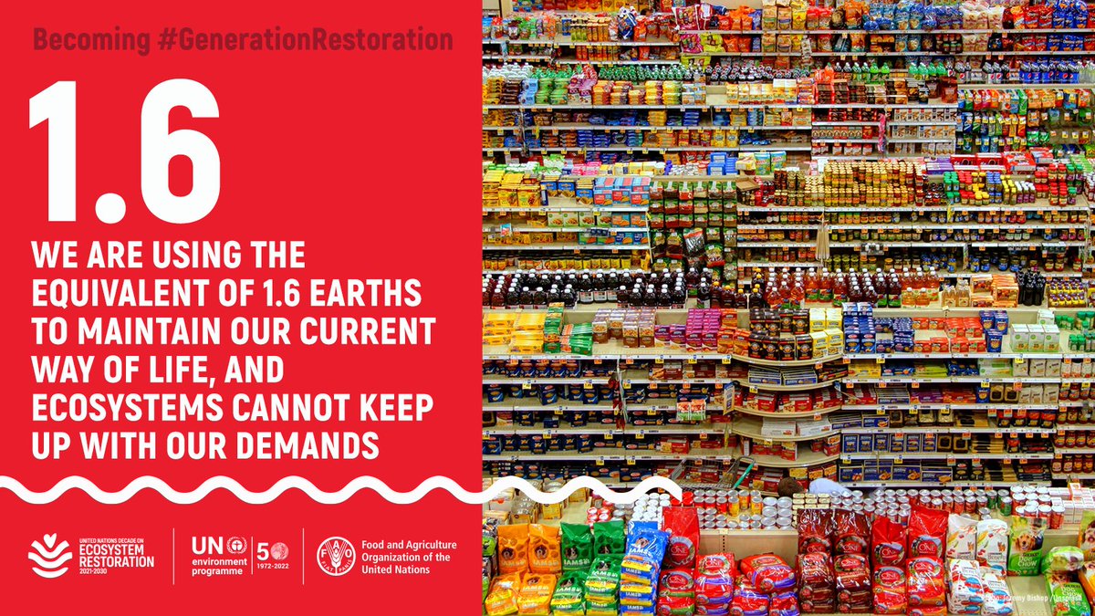 Image of supermarket shelves overflowing with goods. TEXT: Becoming #GenerationRestoration. We are using the equivalent of 1.6 Earths to maintain our current way of life, and ecosystems cannot keep up with our demands.