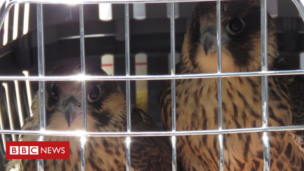 CAMBRIDGESHIRE tweet media