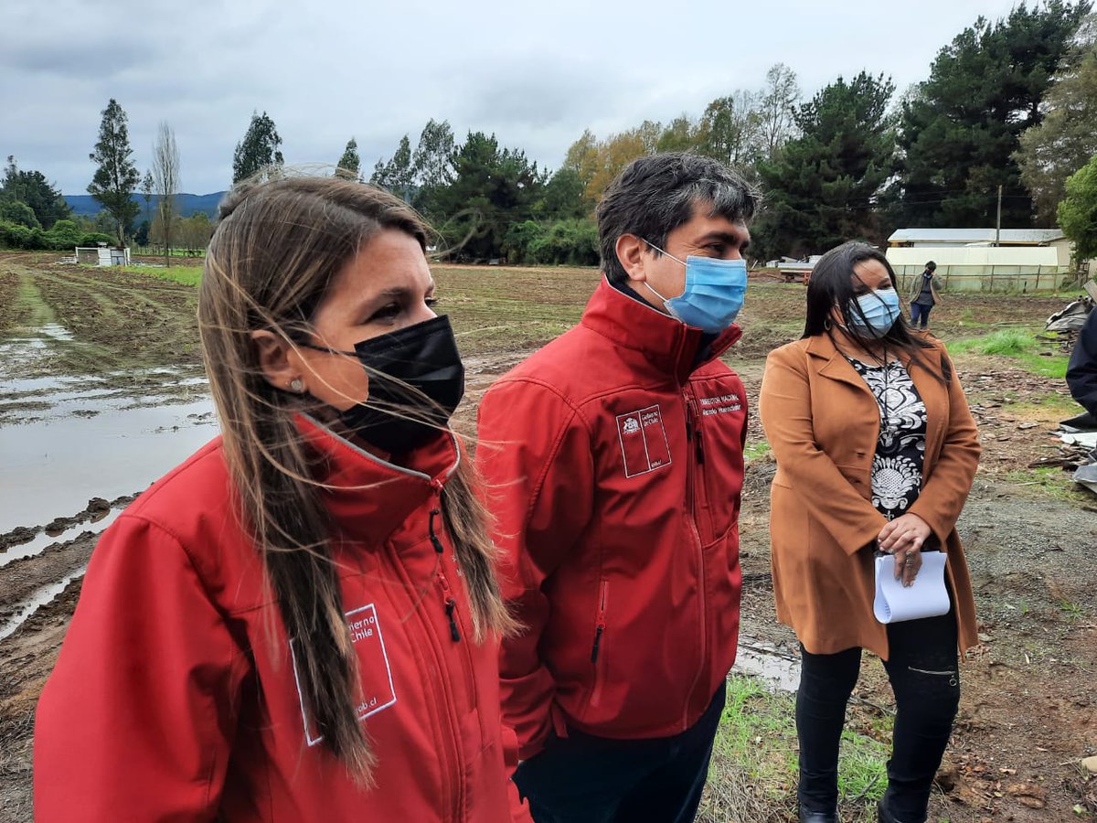 CONADI_Gob's tweet photo. 🔴AHORA en #PADRELASCASAS | El Director Nacional de @FOSIS_Chile @fbettancourt y el Subdirector Nacional Sur de CONADI @MHuenchu visitan proyectos de riego en comunidades mapuche que comercializan verduras y hortalizas #CuidémonosEntreTodos 🇨🇱 https://t.co/HeneXW6BrC