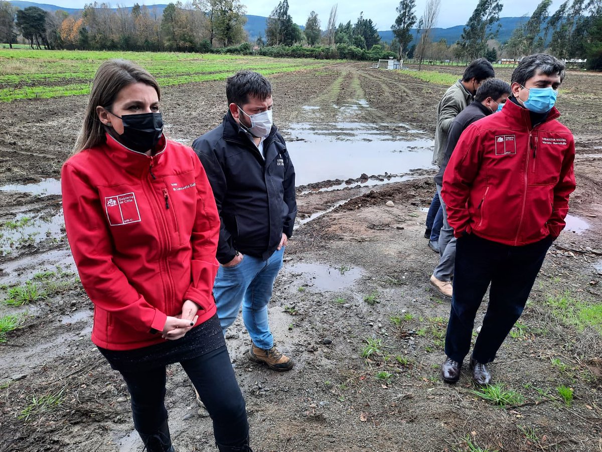 CONADI_Gob's tweet photo. 🔴AHORA en #PADRELASCASAS | El Director Nacional de @FOSIS_Chile @fbettancourt y el Subdirector Nacional Sur de CONADI @MHuenchu visitan proyectos de riego en comunidades mapuche que comercializan verduras y hortalizas #CuidémonosEntreTodos 🇨🇱 https://t.co/HeneXW6BrC