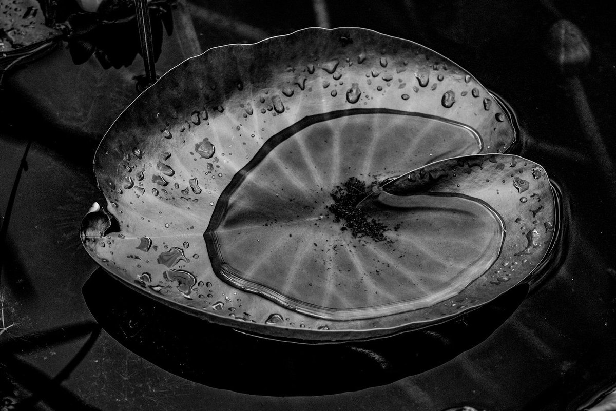 Regis CHUPIN (@chupinregis) on Twitter photo 