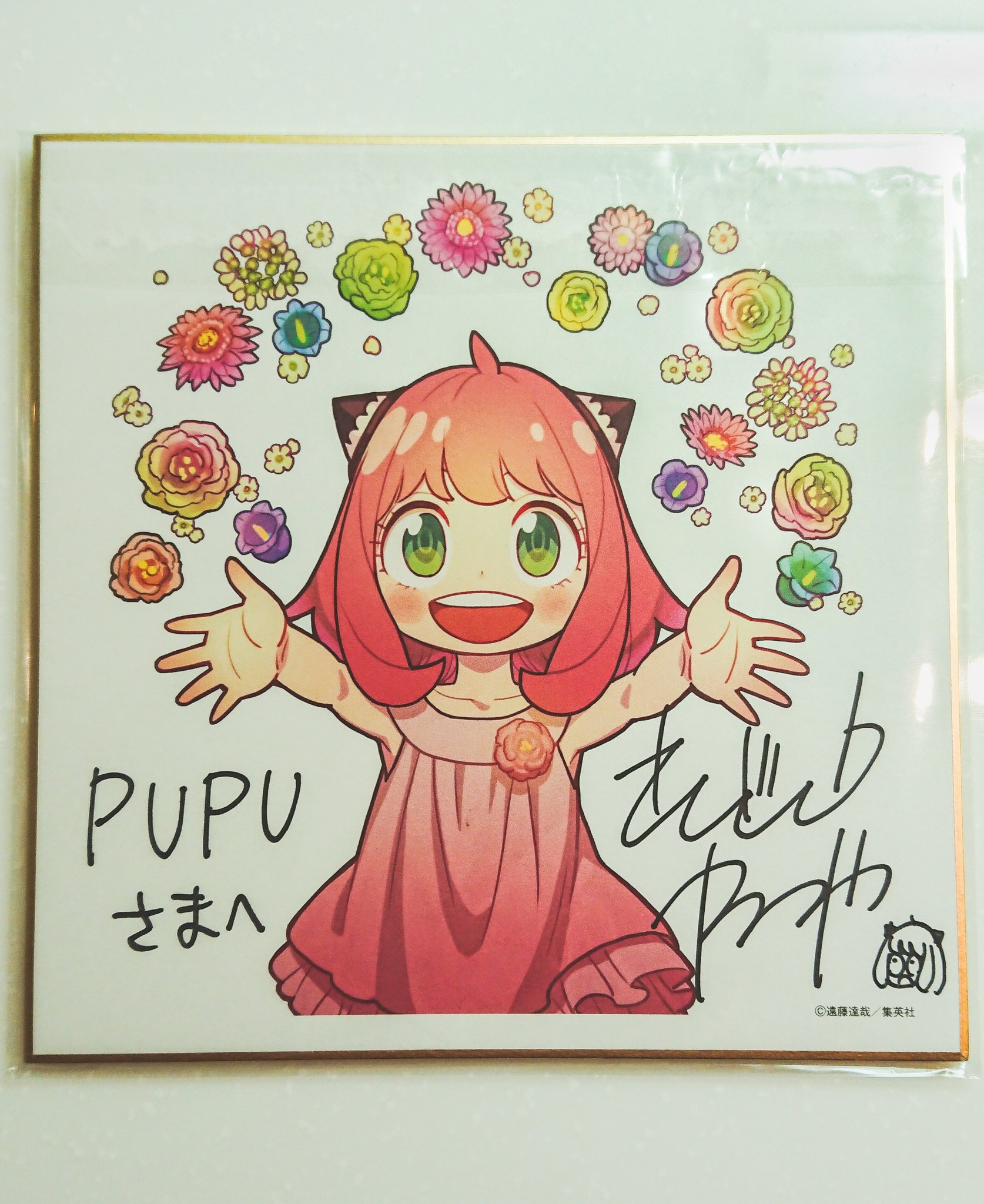 pupu様 専用 新素材新作 8990円 sandorobotics.com