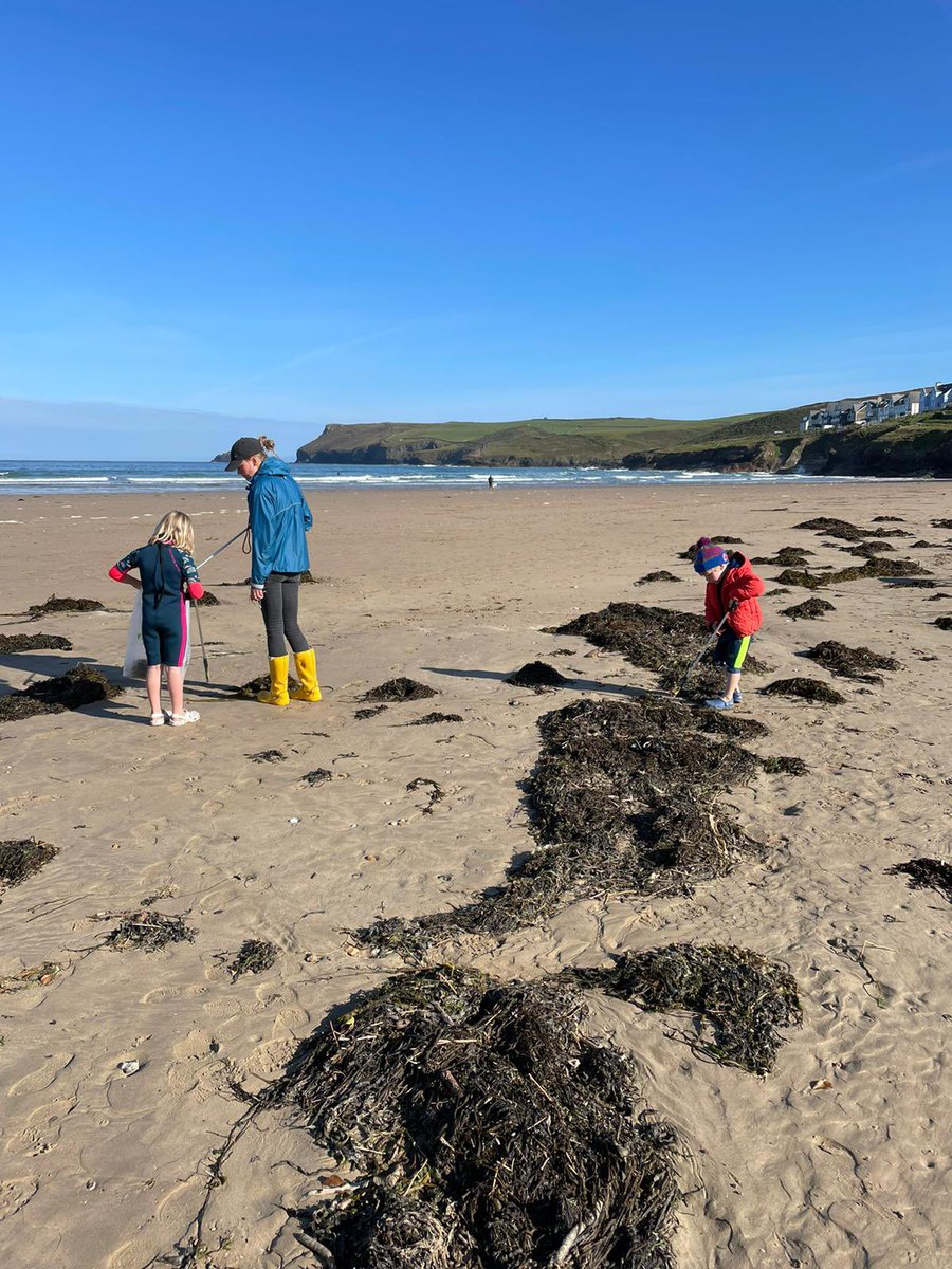 tiddlerart's tweet photo. The #beachcleanup team! #thelaststraw Things to do #springwatch #bbcspringwatch #daymerbay #Cornwall #DoYourBit https://t.co/0eHRywNF7C