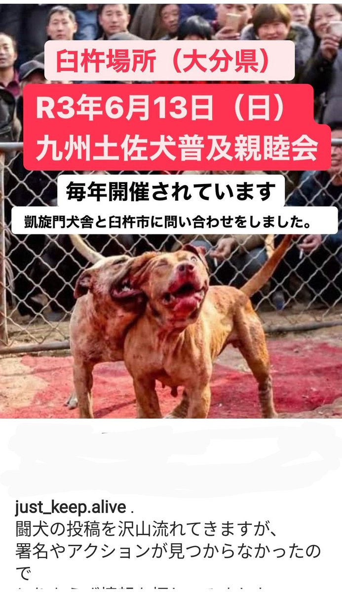 6月13日 日 に闘犬が行われます おそらく大分県臼杵市のどこかだそうです ご存知の方はいませんか 犬 たちを闘わせ楽しむ娯楽 昔からの文化だから そんな文化は廃止してください 多くの犬が死んだり重症を負ったりしてきました どうか声を届けてくださいませんか