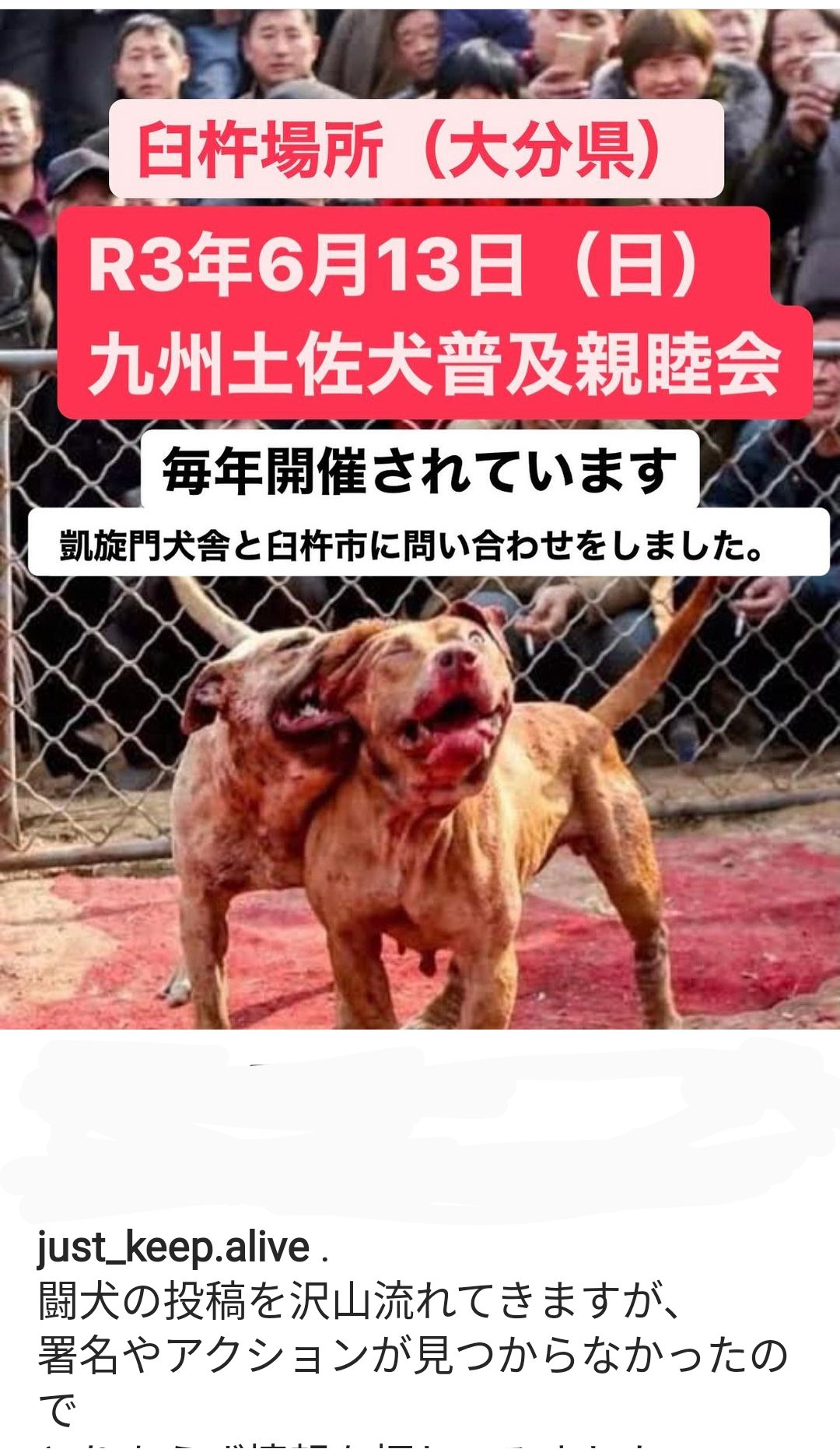 Kumiko 6月13日 日 に闘犬が行われます おそらく大分県臼杵市のどこかだそうです ご存知の方はいませんか 犬 たちを闘わせ楽しむ娯楽 昔からの文化だから そんな文化は廃止してください 多くの犬が死んだり重症を負ったりしてきました どうか声を届けて Kumiko 6月13日 日 に闘犬が行われます おそらく大分県臼杵市のどこかだそうです ご存知の方はいませんか 犬 たちを闘わせ楽しむ娯楽 昔からの文化だから そんな文化は廃止してください 多くの犬が死んだり重症を負ったりしてきました どうか声を届けて