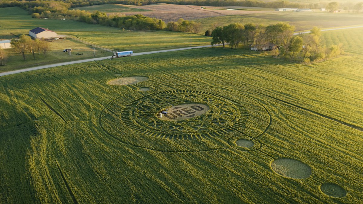 Yes, the crop circle is real 👽