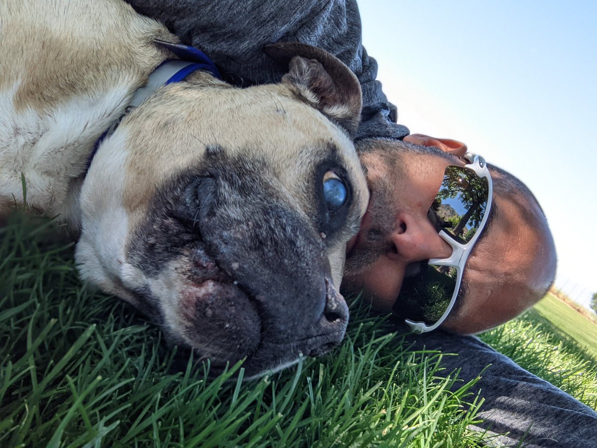 Russ Laraway - bityl.co/Avma tweet media