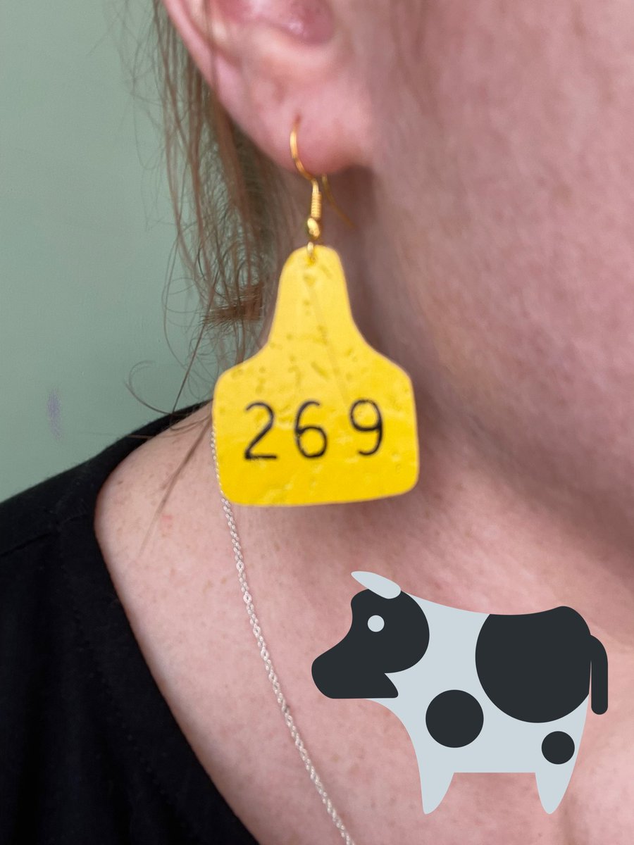 Ditch Dairy 🌱💚