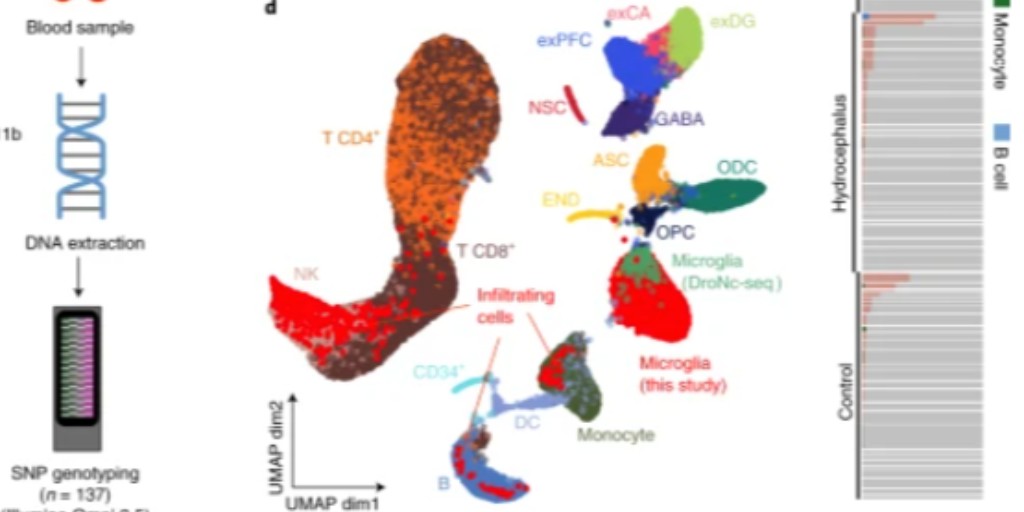 A map of transcriptional heterogeneity and regulatory variation in human microglia (Young et al.) go.nature.com/34J4OBB