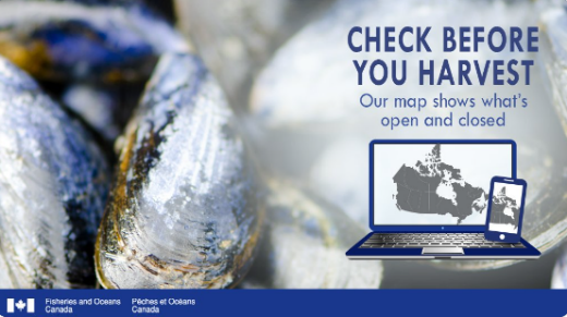 DFO Maritimes on Twitter: