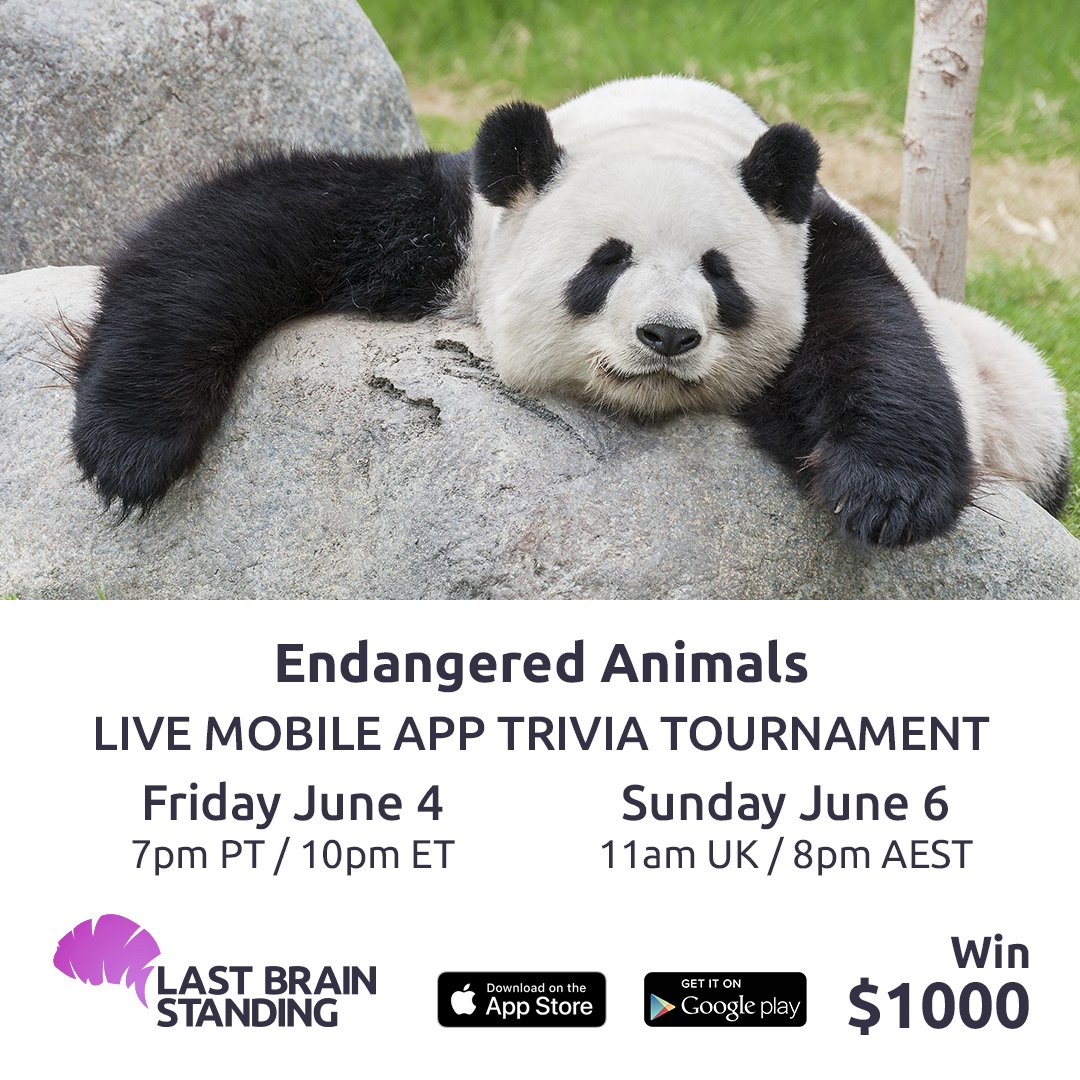 Last Brain Standing tweet media